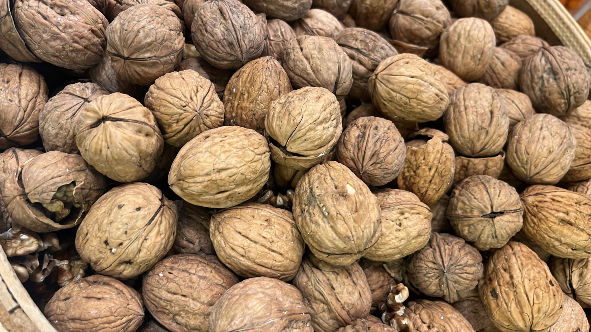 Kabuklu Ceviz İthal